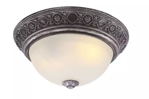Настенно-потолочный светильник Arte Lamp Piatti A8009PL-2SB