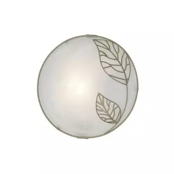 Настенно-потолочный светильник Brilliant Anais 93984/70