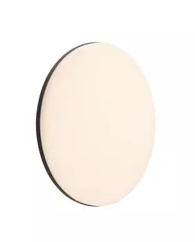 Настенно-потолочный светильник Deko-Light Mensae 348072