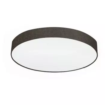 Настенно-потолочный светильник Eglo Pasteri 97618