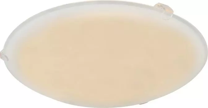 Настенно-потолочный светильник Globo Holly I 40989