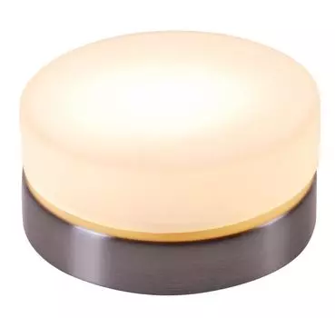 Настенно-потолочный светильник Globo Opal 48400
