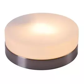 Настенно-потолочный светильник Globo Opal 48401