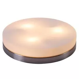 Настенно-потолочный светильник Globo Opal 48403