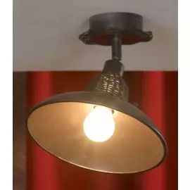 Настенно-потолочный светильник Lussole Ancona LSN-1077-01