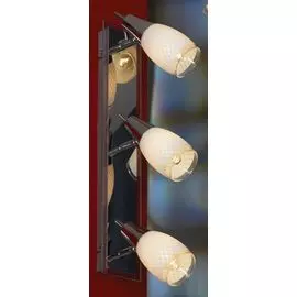 Настенно-потолочный светильник Lussole Carlino LSX-4801-03