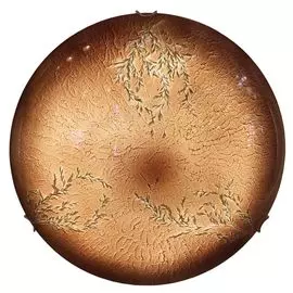 Настенно-потолочный светильник Lussole Lgo LSN-0912-01