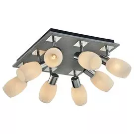 Настенно-потолочный светильник Lussole Lgo LSP-0051