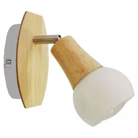 Настенно-потолочный светильник Lussole Lgo LSP-0119