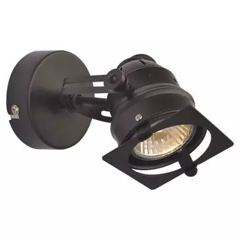 Настенно-потолочный светильник Lussole Loft LSP-9118