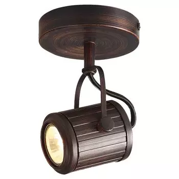 Настенно-потолочный светильник Lussole Loft LSP-9131