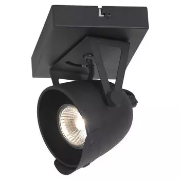 Настенно-потолочный светильник Lussole Loft LSP-9505