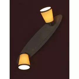 Настенно-потолочный светильник Lussole LSL-2301-02