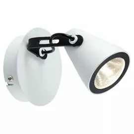 Настенно-потолочный светильник Lussole Merano LSN-4101-01