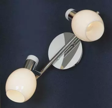 Настенно-потолочный светильник Lussole Parma LSX-5001-02