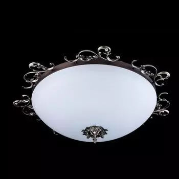 Настенно-потолочный светильник Maytoni Ceiling &amp; Wall C900-CL-05-R