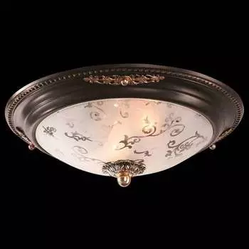 Настенно-потолочный светильник Maytoni Ceiling &amp; Wall C907-CL-02-R