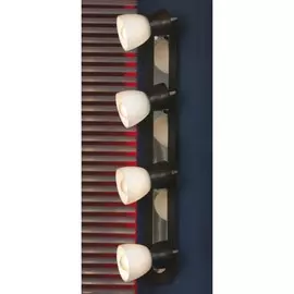 Настенно-потолочный светильник Messina LSL-8209-04 Lussole