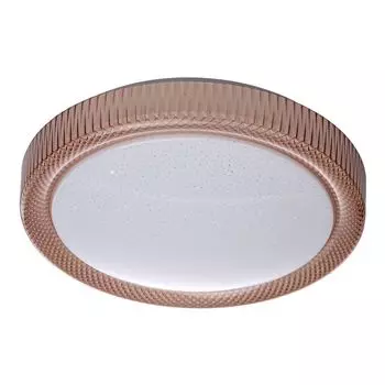 Настенно-потолочный светильник MW-Light Ривз 674014001