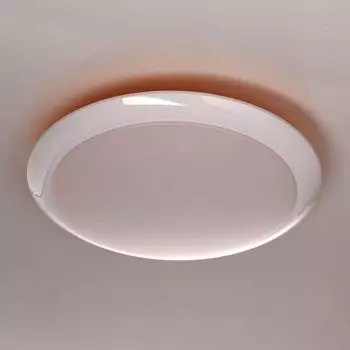 Настенно-потолочный светильник MW-Light Ривз 674014101