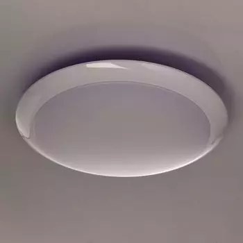 Настенно-потолочный светильник MW-Light Ривз 674014301