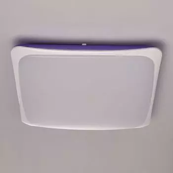 Настенно-потолочный светильник MW-Light Ривз 674014501