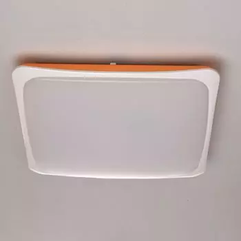 Настенно-потолочный светильник MW-Light Ривз 674014601