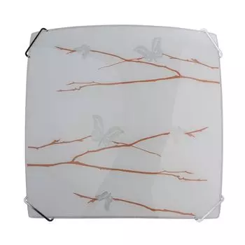 Настенно-потолочный светильник MW-Light Васто 368011102