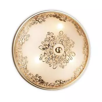 Настенно-потолочный светильник Odeon Light Alesia 2676/3C