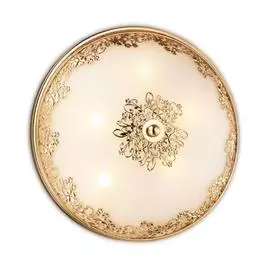 Настенно-потолочный светильник Odeon Light Alesia 2676/5C