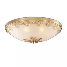Настенно-потолочный светильник Odeon Light Alesia 2676/7C