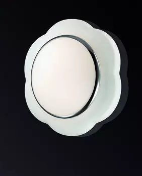 Настенно-потолочный светильник Odeon Light Baha 2403/3C