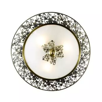Настенно-потолочный светильник Odeon Light Balasa 2726/3C