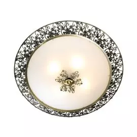 Настенно-потолочный светильник Odeon Light Balasa 2726/4C