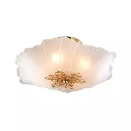 Настенно-потолочный светильник Odeon Light Corbi 2678/4C