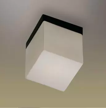 Настенно-потолочный светильник Odeon Light Cubet 2043/1C