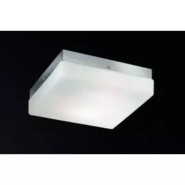 Настенно-потолочный светильник Odeon Light Hill 2406/1C