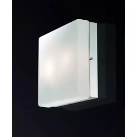 Настенно-потолочный светильник Odeon Light Hill 2406/2C