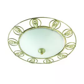 Настенно-потолочный светильник Odeon Light Kanti 3483/2C