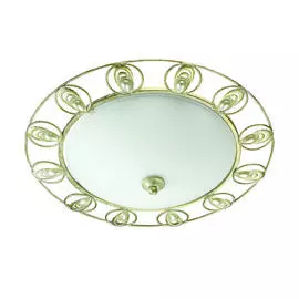 Настенно-потолочный светильник Odeon Light Kanti 3483/3C