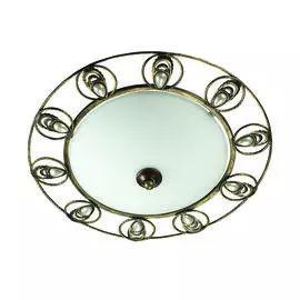 Настенно-потолочный светильник Odeon Light Kanti 3484/2C