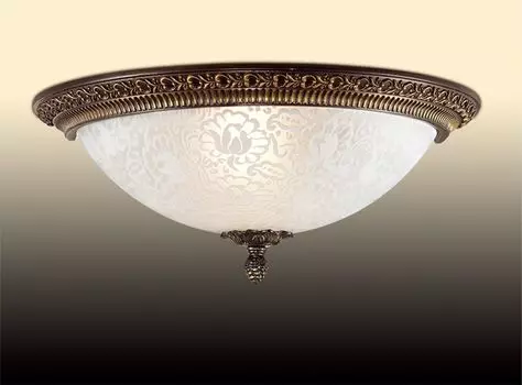Настенно-потолочный светильник Odeon Light Maipa 2587/1W