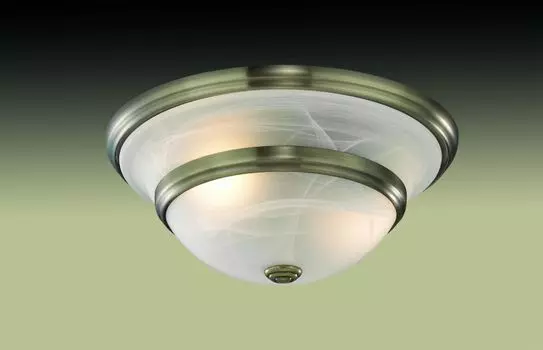 Настенно-потолочный светильник Odeon Light Marli 2573/2A
