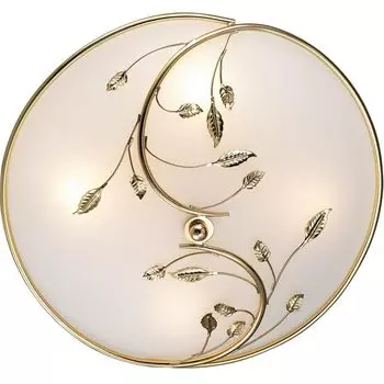 Настенно-потолочный светильник Odeon Light Regana 2728/4C