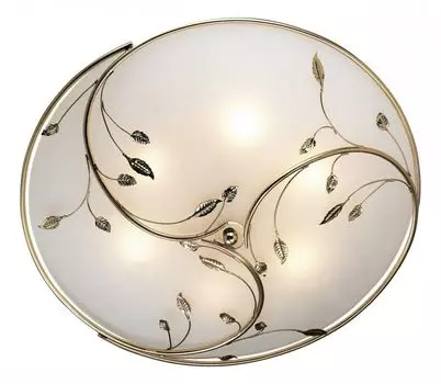 Настенно-потолочный светильник Odeon Light Regana 2728/6C