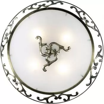Настенно-потолочный светильник Odeon Light Tarta 2727/4C