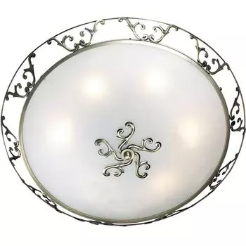 Настенно-потолочный светильник Odeon Light Tarta 2727/6C