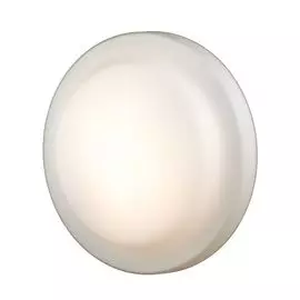 Настенно-потолочный светильник Odeon Light Tavoy 2760/3C