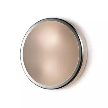 Настенно-потолочный светильник Odeon Light Yun 2177/1C