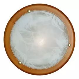 Настенно-потолочный светильник Sonex Alabastro 127